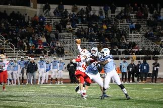 November 8 2019 IMG_9397788